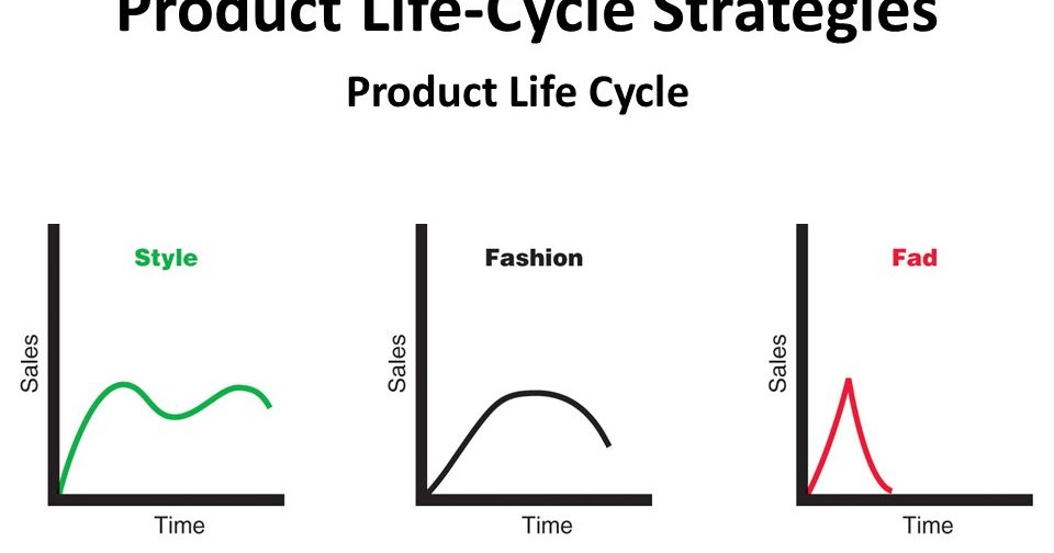 Product Life Cycle Strategies Project Management Small