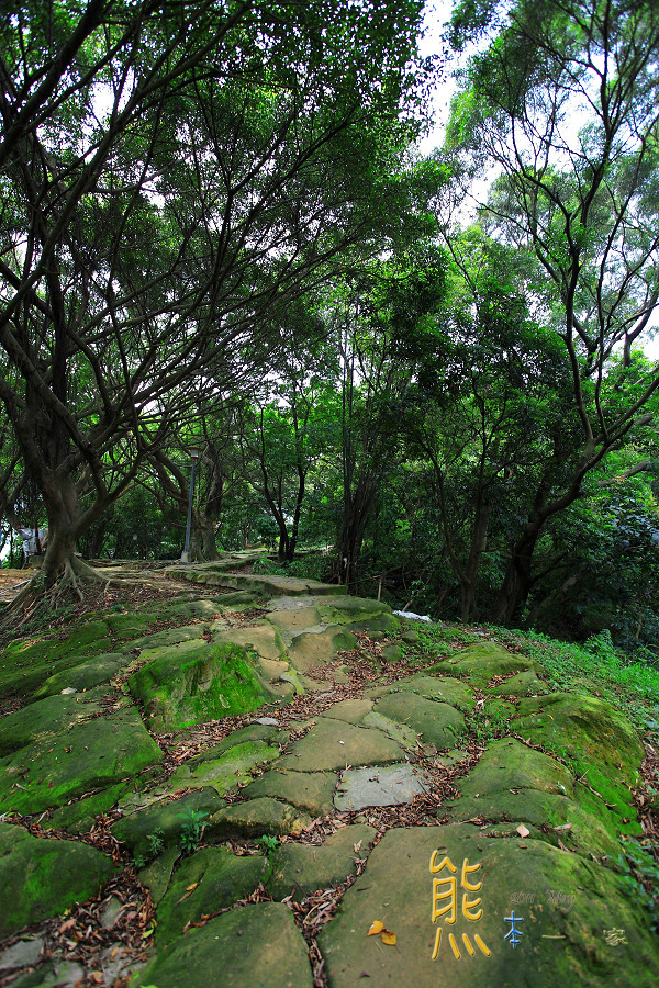 虎山親山步道|龍山宮|四獸山