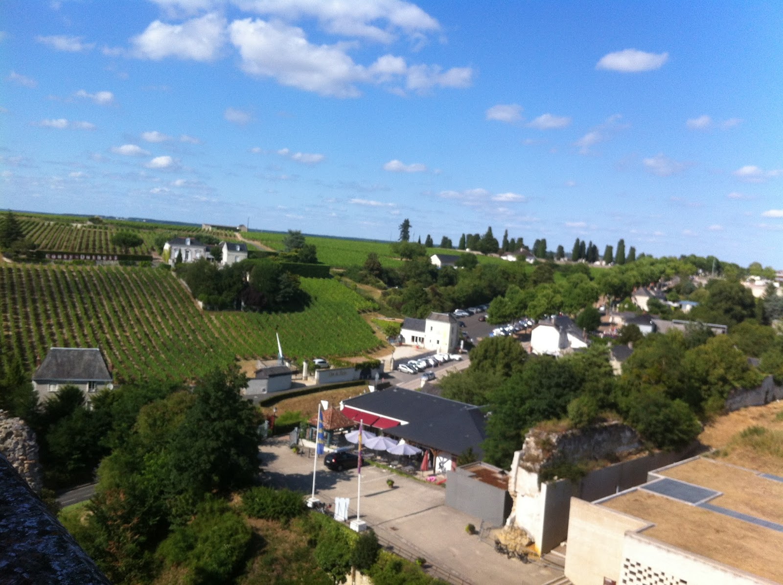 wninnice w Chinon winnice w Chinon