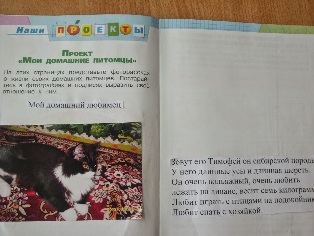 Рассказ кошке окружающему миру животном домашнем по класс 2 о