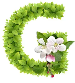 Abecedario con Hojas Verdes y Flores Blancas. Alphabet with Green Leaves and White Flowers.