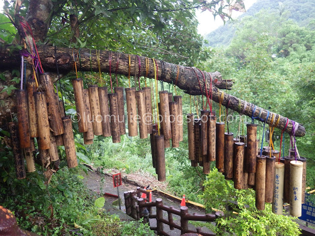 Jingtong bamboo wishes