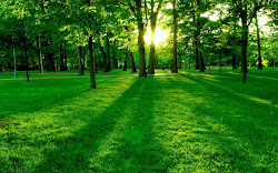 nature wallpapers desktop backgrounds sunrise computer pc spring natural greenery japan park pretty cool soft presentation amazing