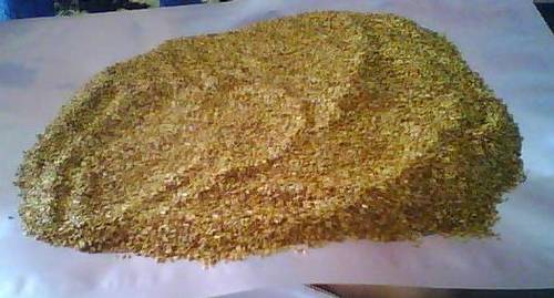 BENIH RUMPUT BERMUDA GRASS SEED JUAL MURAH | DISTRIBUTOR BIJI RUMPUT