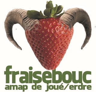 AMAP Fraise-bouc