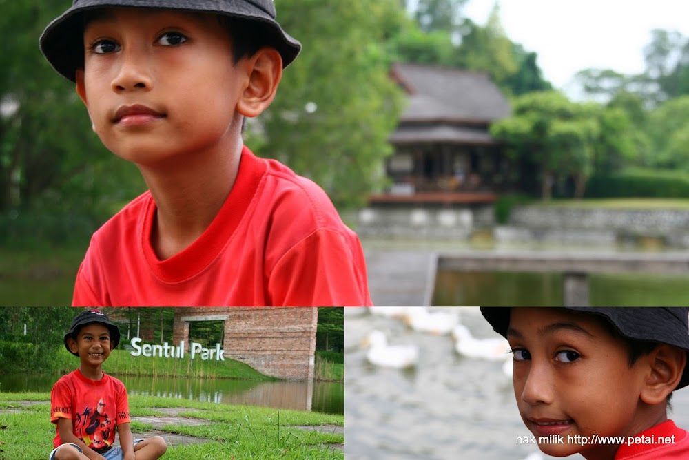 Abang Haris Abang Haris