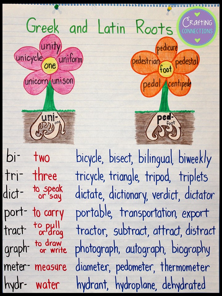 Crafting Connections: Greek and Latin Roots Anchor Chart