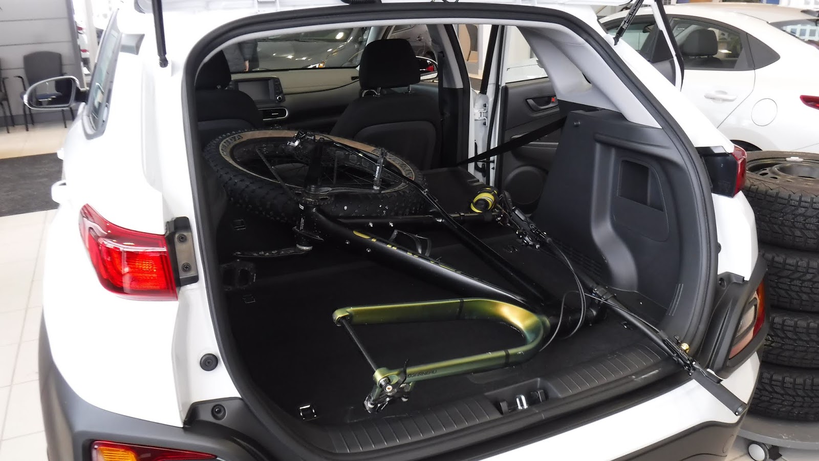 fat bike fitting