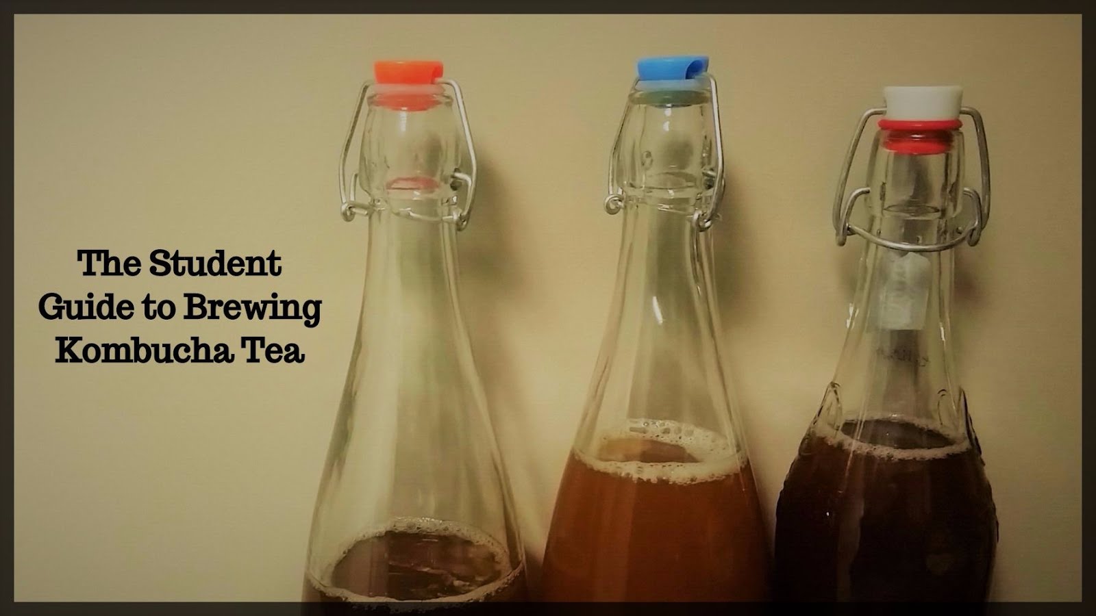 The Student Guide to Brewing Kombucha Tea