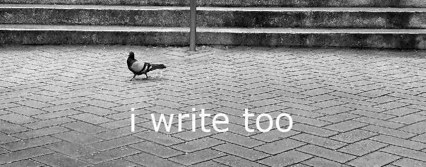 i write too