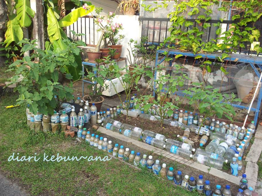 Diari Kebun Na Batas Sayur Uncle Chong Tengok Batas Sayur Depan Rumah Uncle Ni