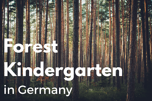 Forest Kindergarten in Germany - Waldkindergarten Forest Kindergarten in Germany - Waldkindergarten