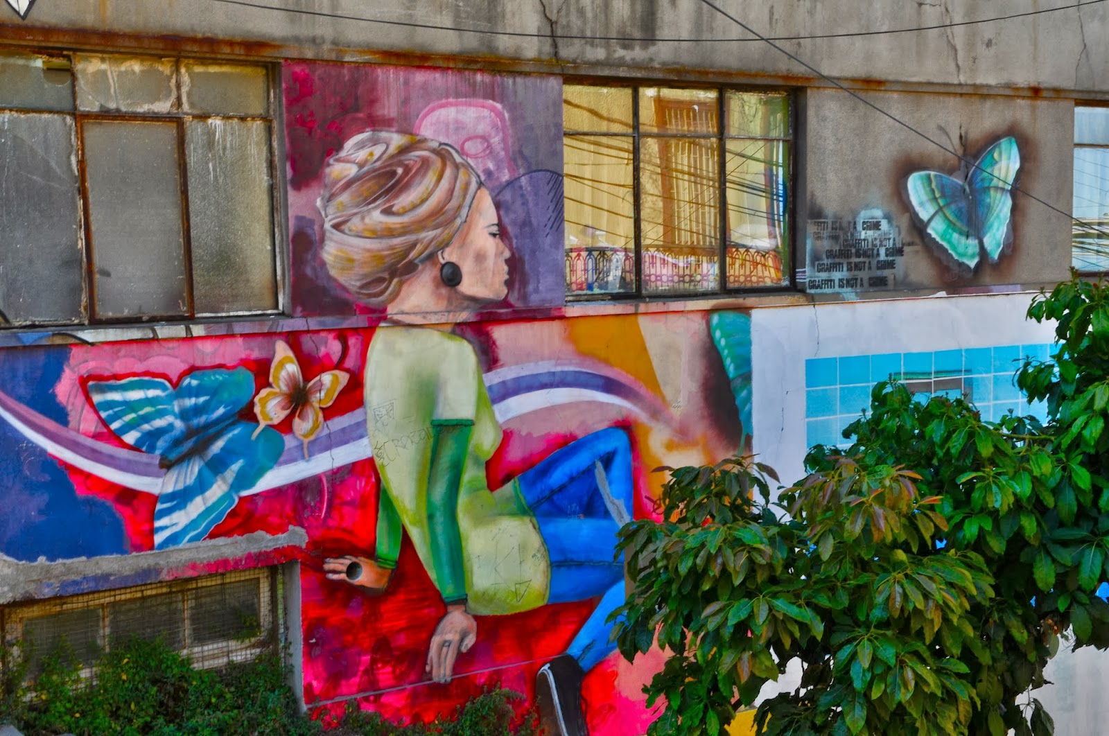 Viva la Voyage Street Art in Valparaiso, Chile