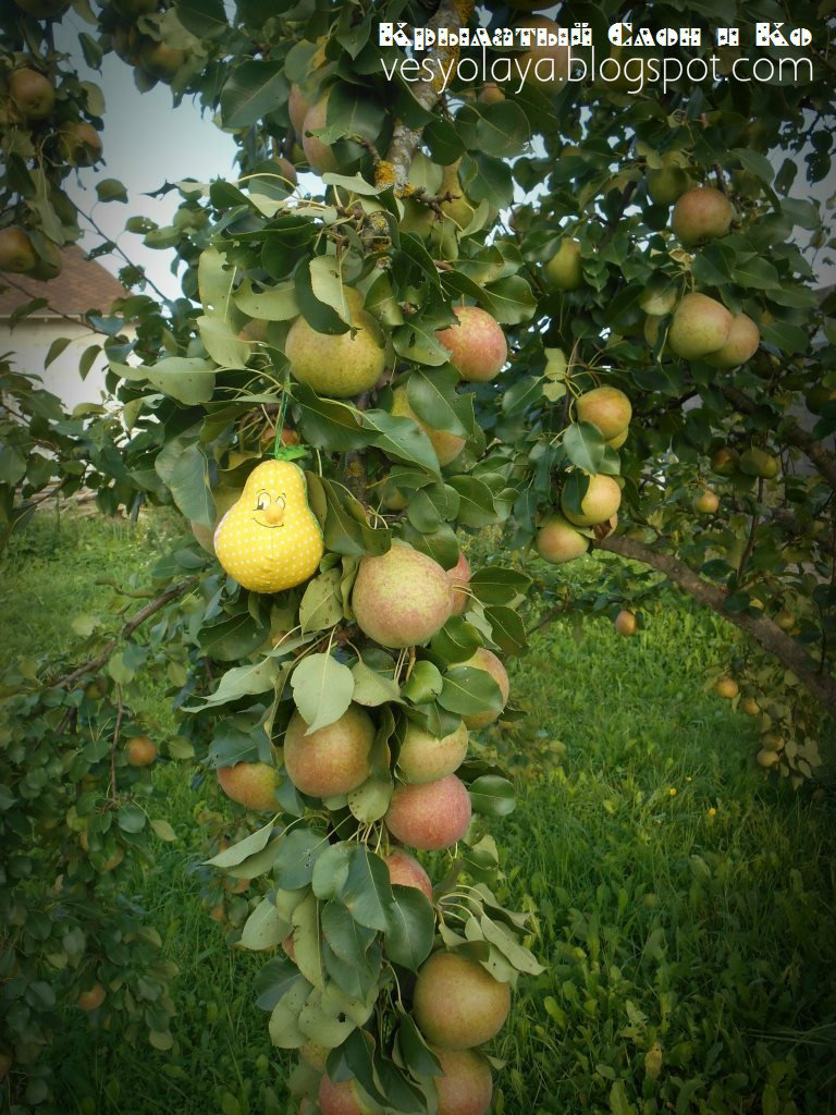 Крылатый Слон и Компания: Тётушка Груша / Auntie Pear