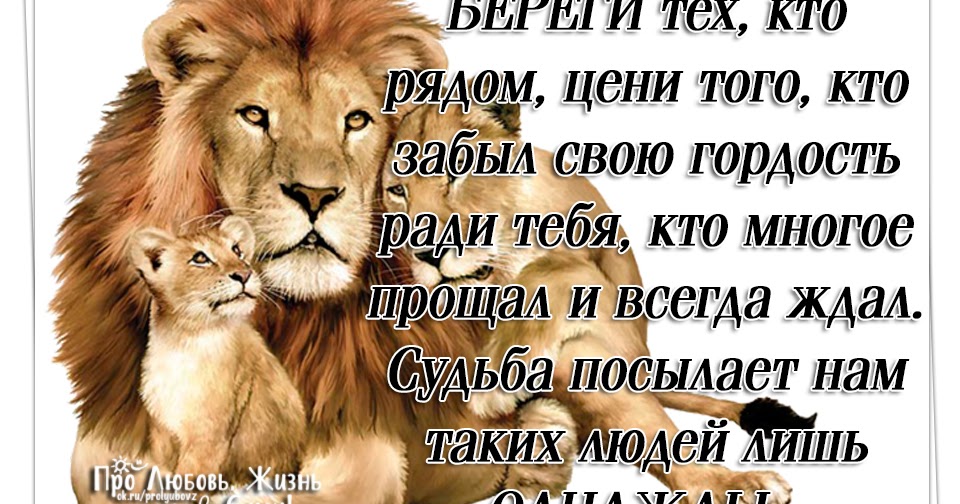 картинки цените кто рядом книжный мир выпускает