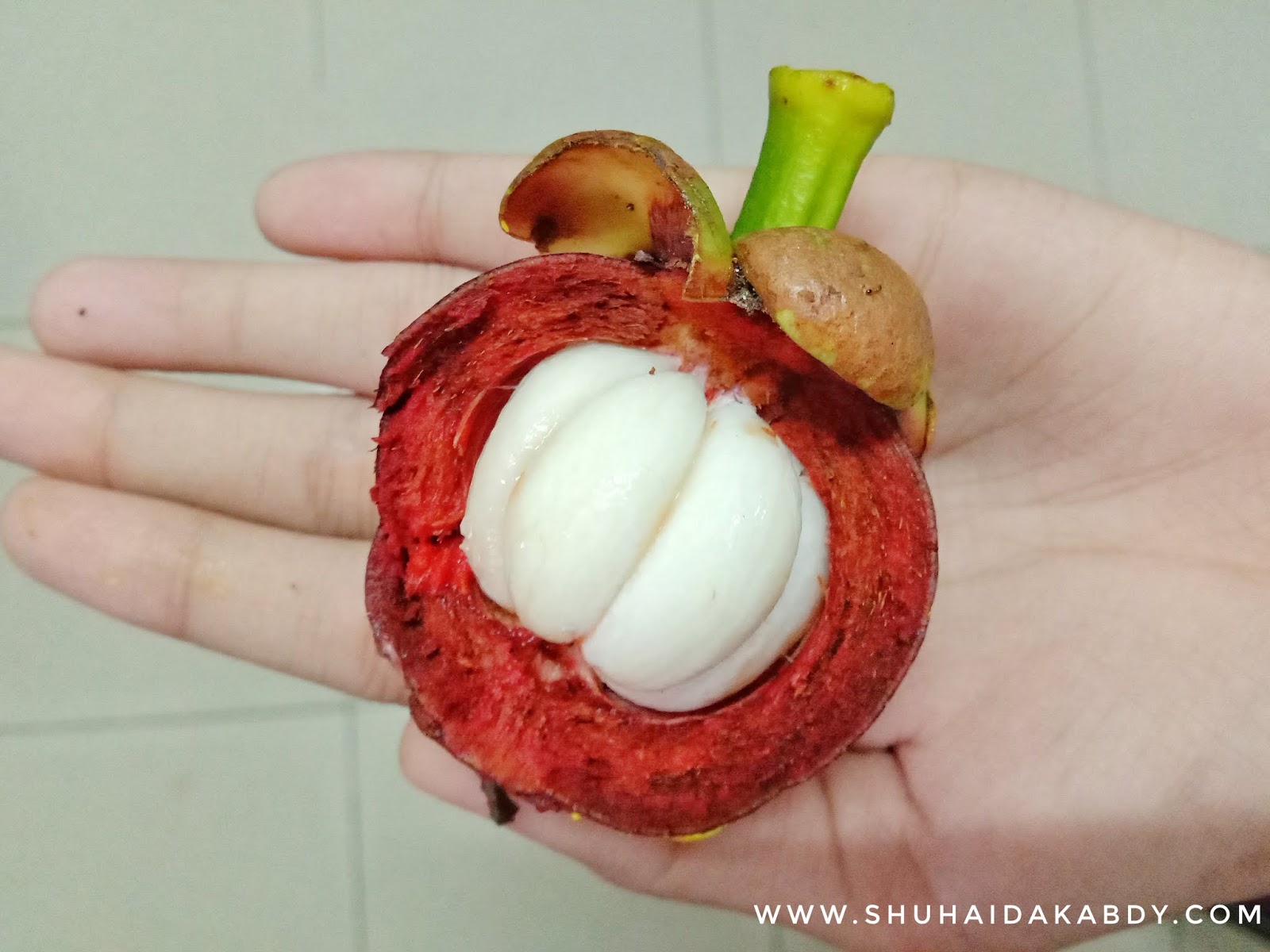 Buah Bermusim Buah Bermusim, Manggis
