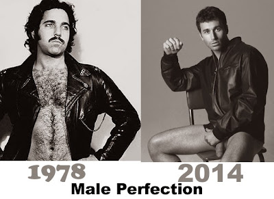 male perfection 1978 to present
