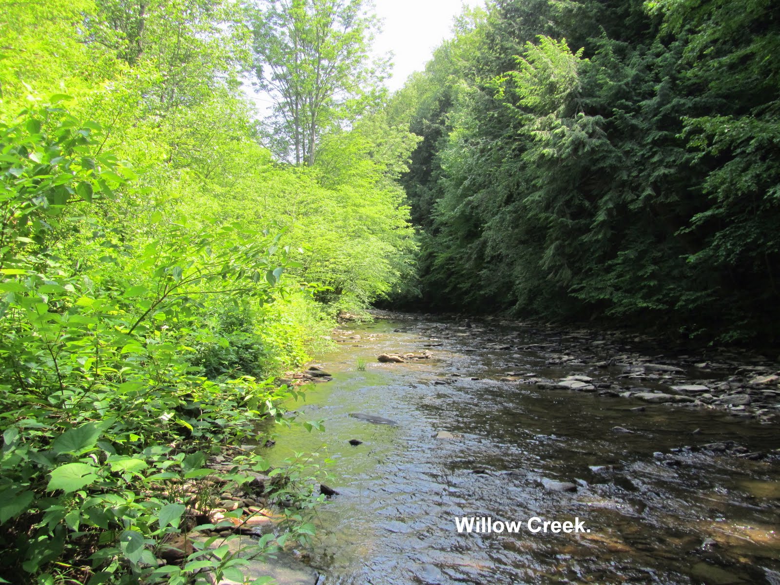The travels of Ed, Carol and Gopher the dog. Willow Bay Recreation