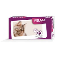  Pet Phos Pelage Chat