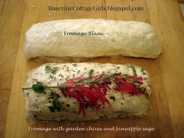 Photo of Fromage blanc on a cutting board. It has been put in plastic wrap and made into a cheese roll. The upper one is plain white cheese and the one below has been made with garden chives and a sprig of pineapple sage on top with the red flowers and leaves showing through the plastic wrap. This is a recipe for the fromage blanc. It is a French style cheese good for spreading on crackers or toast or you can make it so it is the consistency of Greek yogurt or sour cream. 