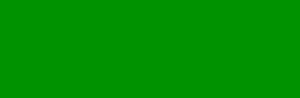Rodas de Viriato - O mundo sobre rodas em Portugal