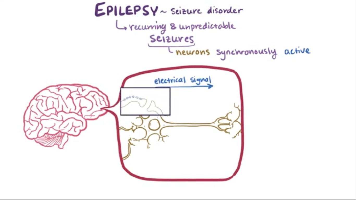 Difference between epilepsy and seizures picture