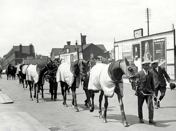 The Apprentice Jockey Training Racehorses in Years Long Past