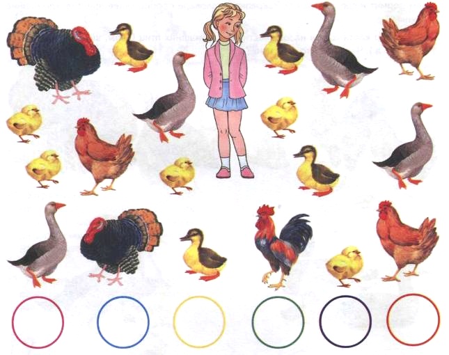 домашняя птица для детей. домашние птицы для дошкольников. домашние птицы. задание для детей домашние птицы для дошкольников. домашние птицы для дошкольников.