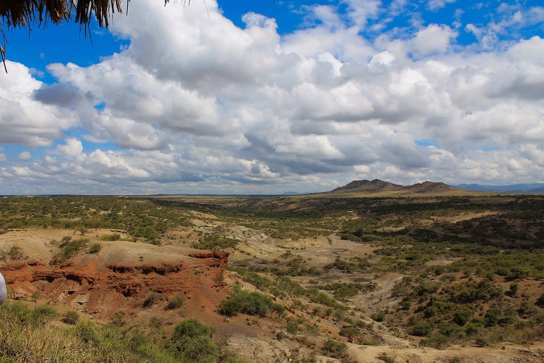 masse of the savanes in upper volta