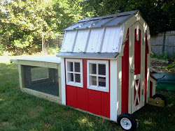 chicken coop tractor barn metal roof coops shed range farm curtiss backyard barns chickens yard tractors portable inspirations permanent