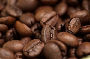 kopi lampung kopi lampung