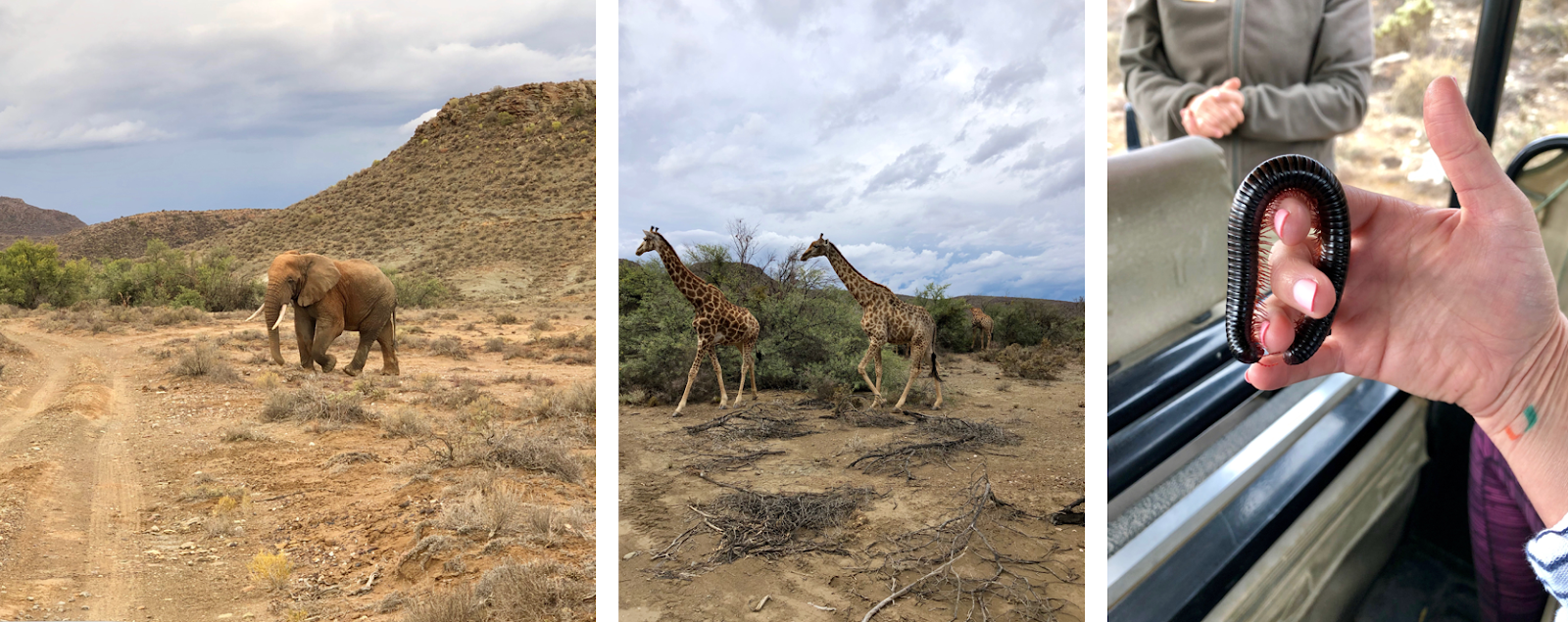 average temps in cape town south africa average temps in cape town south africa