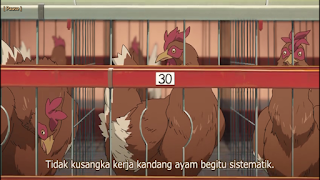ilmu pengetahuan yang menarik ilmu pengetahuan yang menarik Gin no Saji (Silver Spoon)