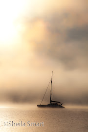 Yacht in mist in Paihia, Bay of Islands