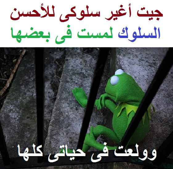 اجمل الصور المضحكة فى العالم