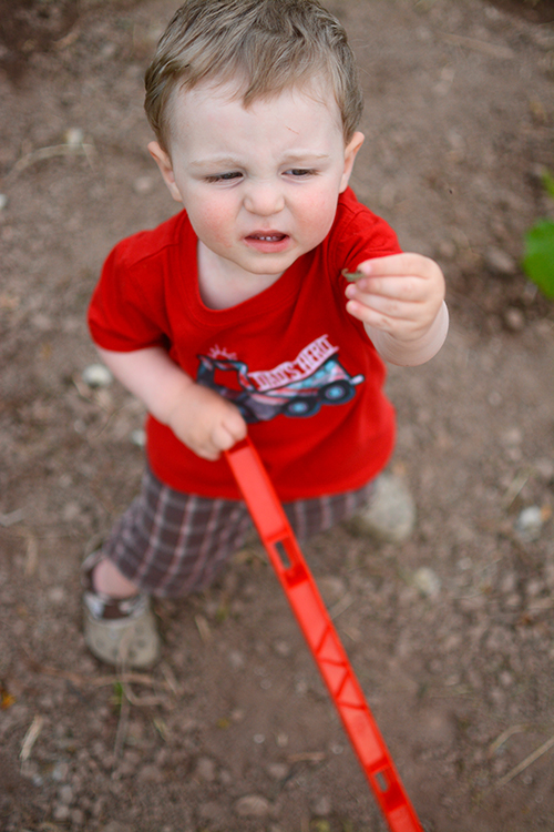 Gardening with a toddler; #gardenlife | My Darling Days Gardening with a toddler; #gardenlife | My Darling Days
