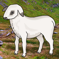 big-mountain-lamb-escape.jpg