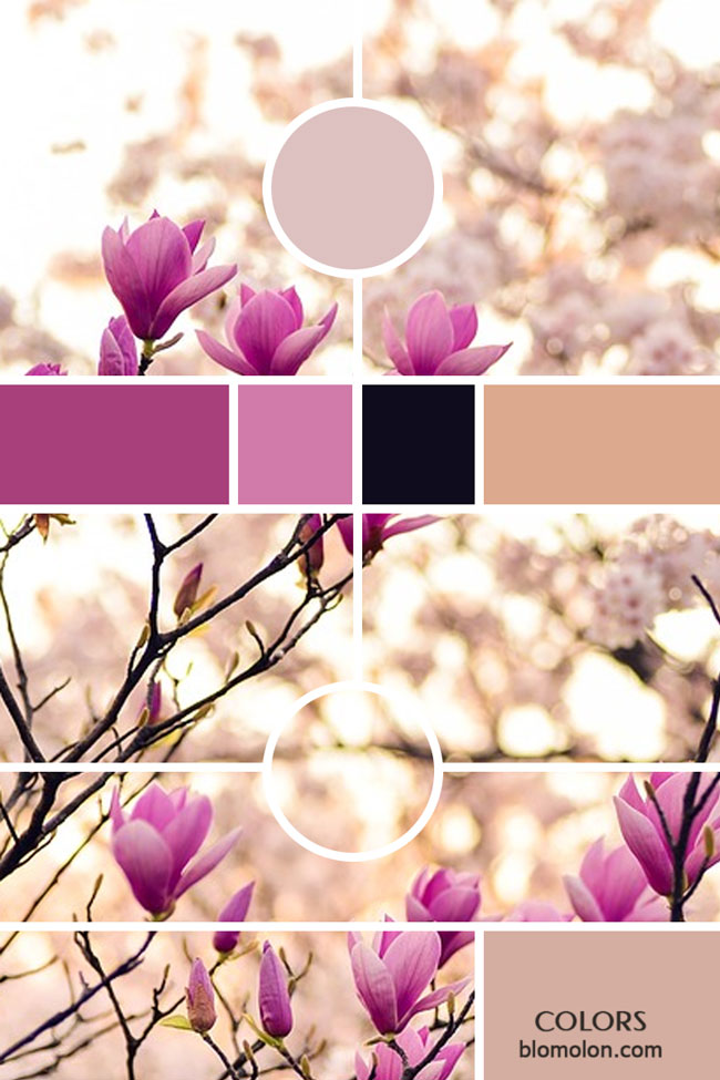 variedad en color moodboards 4 variedad_en_color_moodboards_4