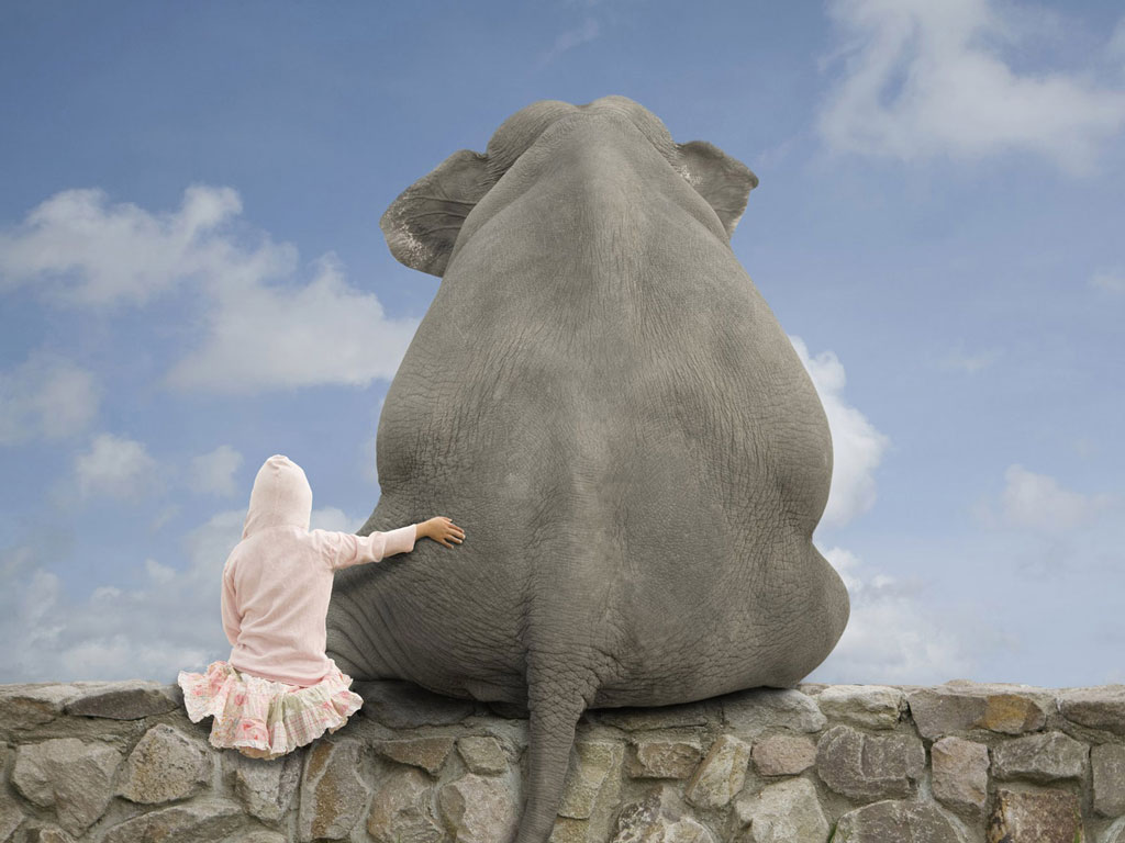 The Elephant and Mind Chains (Reflexion) Law of Attraction Plus The