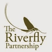 The Riverfly Partnership