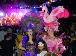 Bird costumes at the Austin Carnaval in 2013