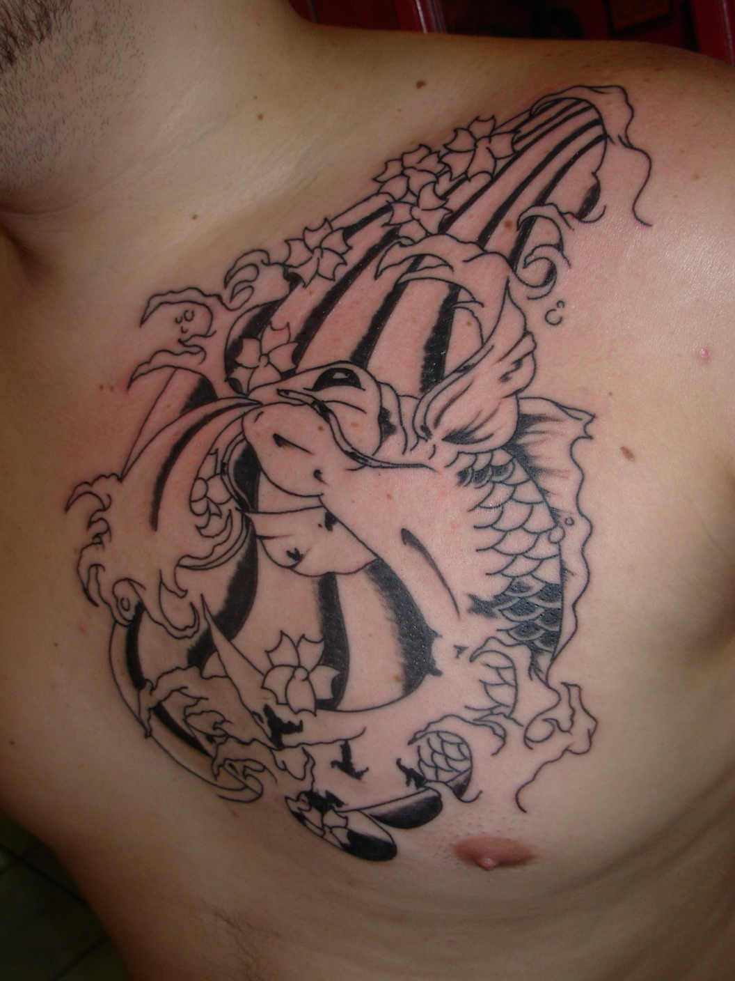 http://4.bp.blogspot.com/-Gi2uvYdwgAM/Tddtr88BEqI/AAAAAAAABAU/fPcUPI8fMNI/s1600/Koi-tattoo%20design.jpg