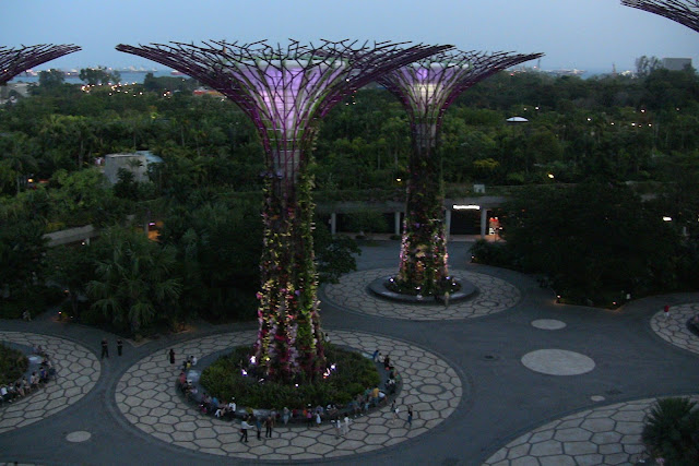 Ogrody przy Zatoce. Gardens By The Bay nocą