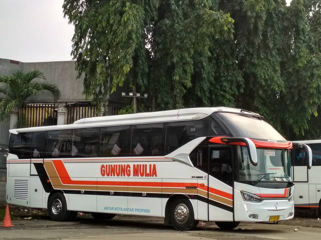 Bus Solo Jakarta