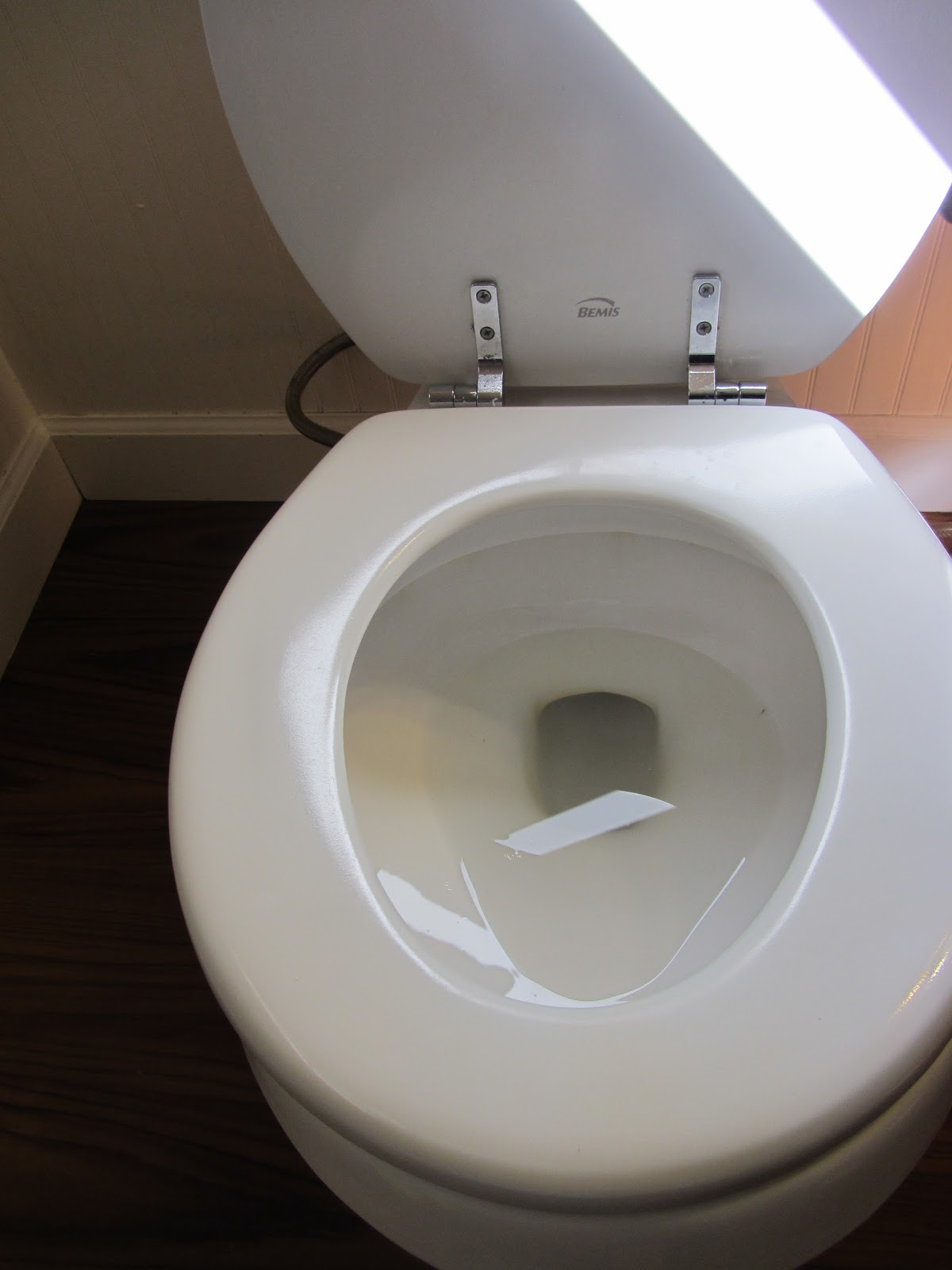 Removing iron stains from a toilet, the eco friendly way