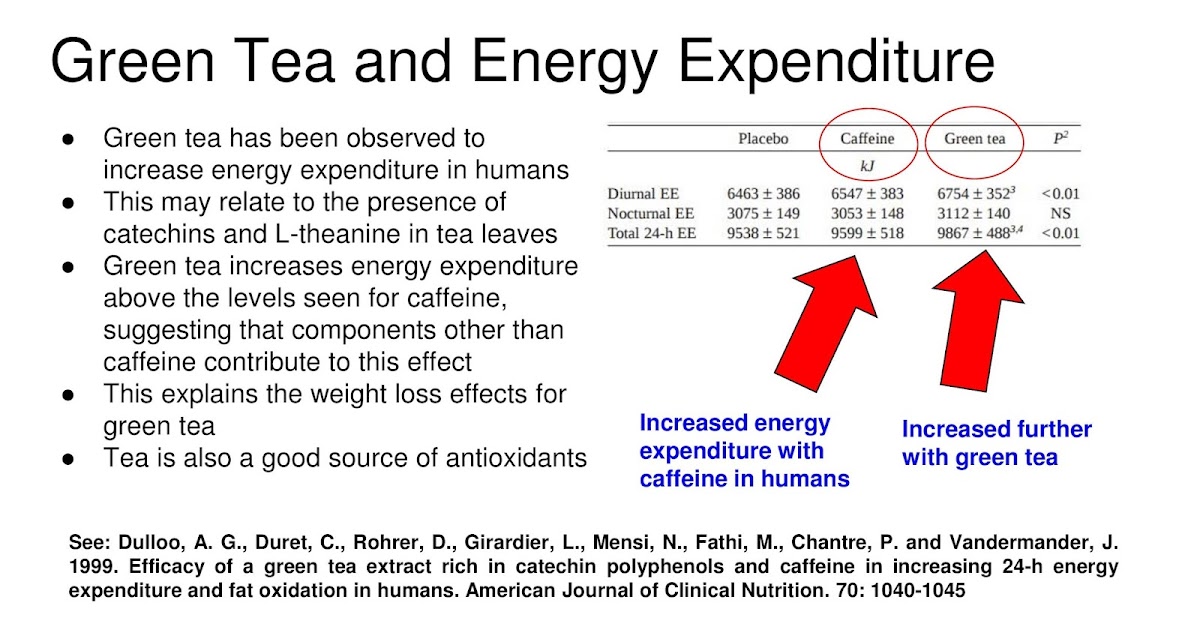 Green Tea and Energy Expenditure