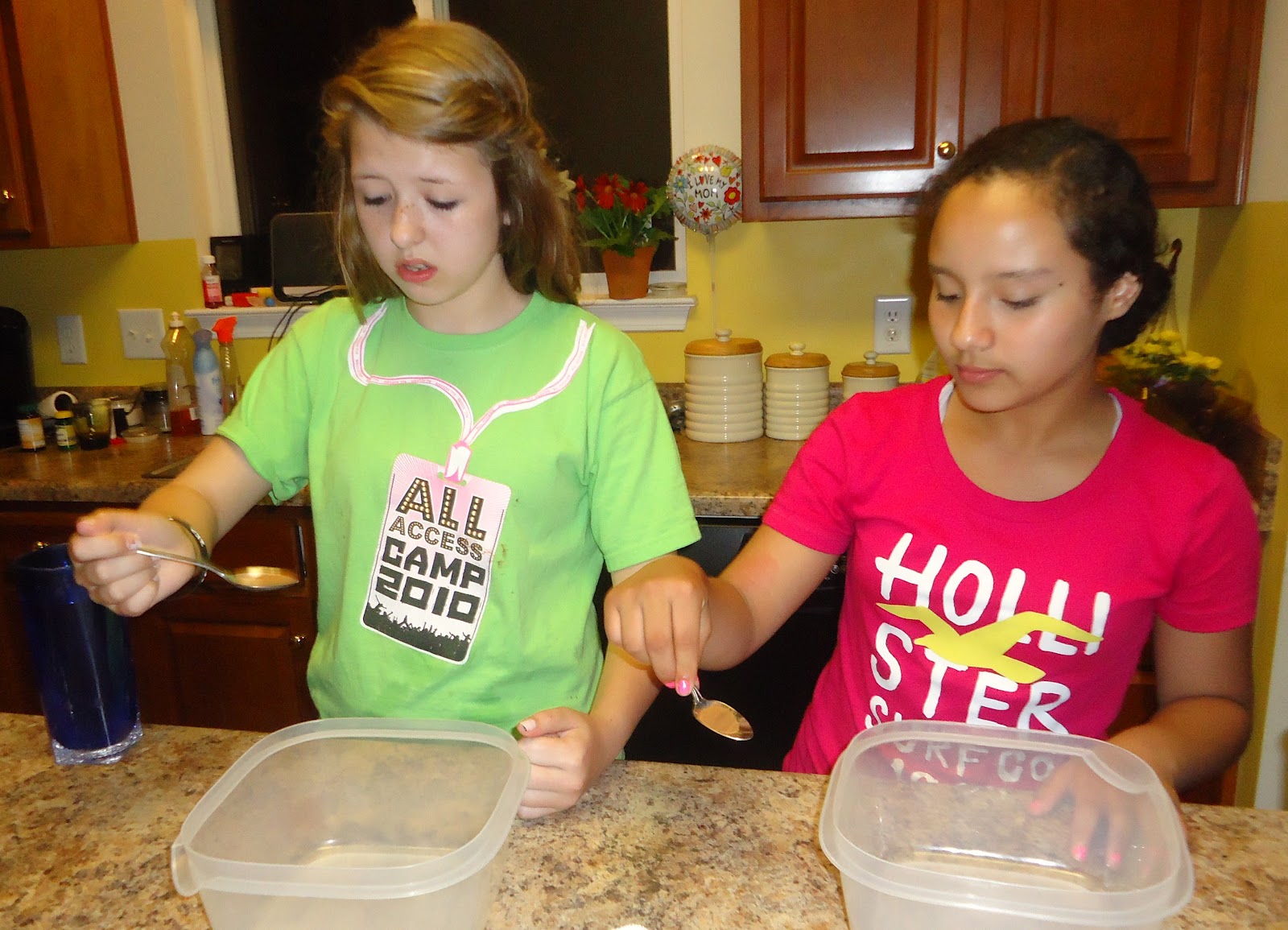 Apedaile 6 Cinnamon Challenge