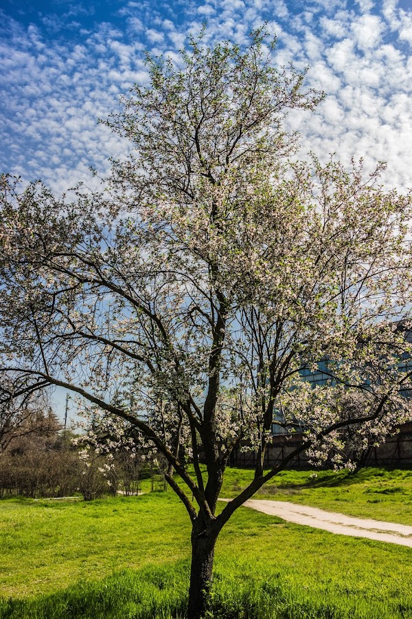 Parque Quinta de Torre Arias