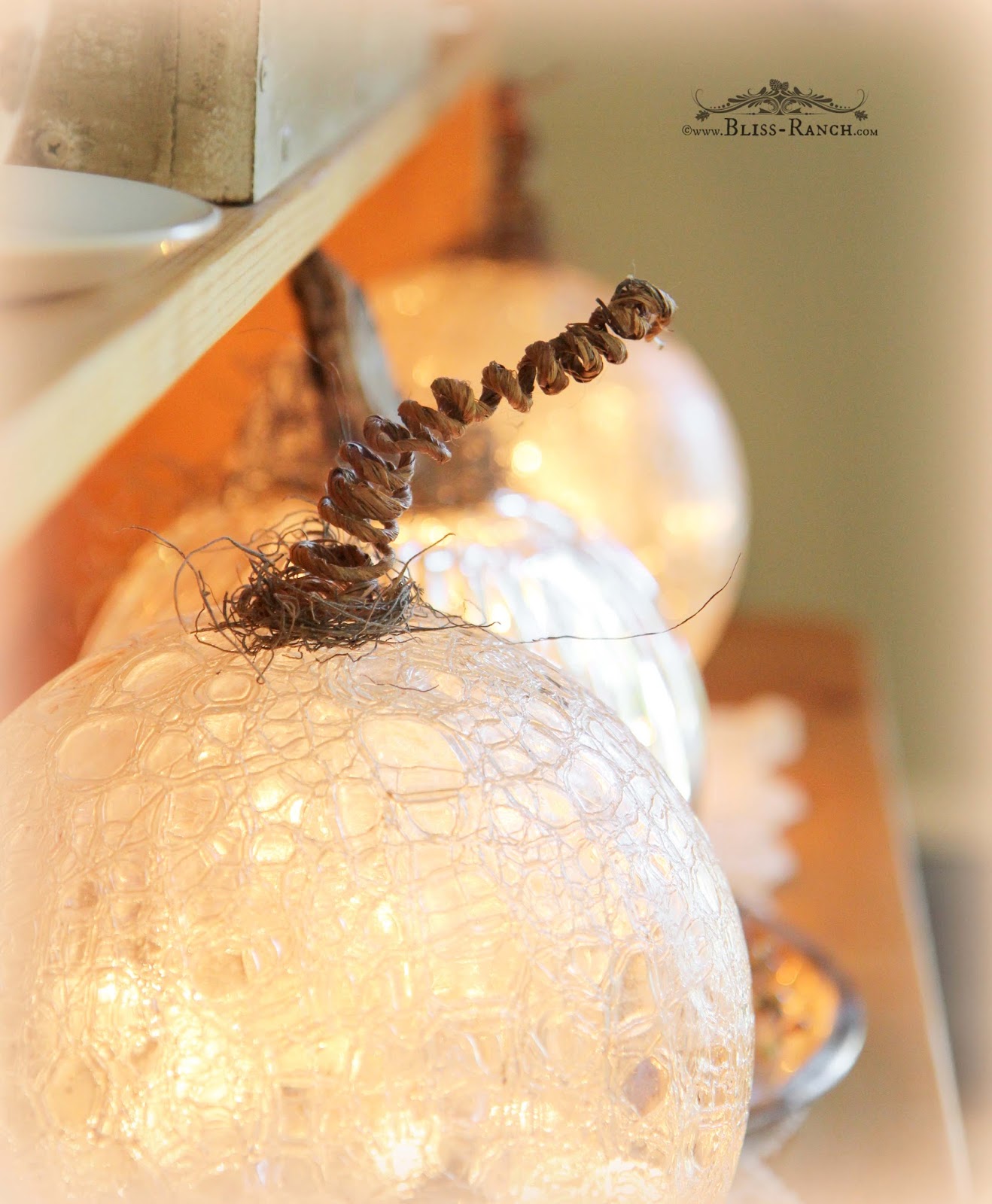 Bliss Ranch Glass Light Globe Pumpkins