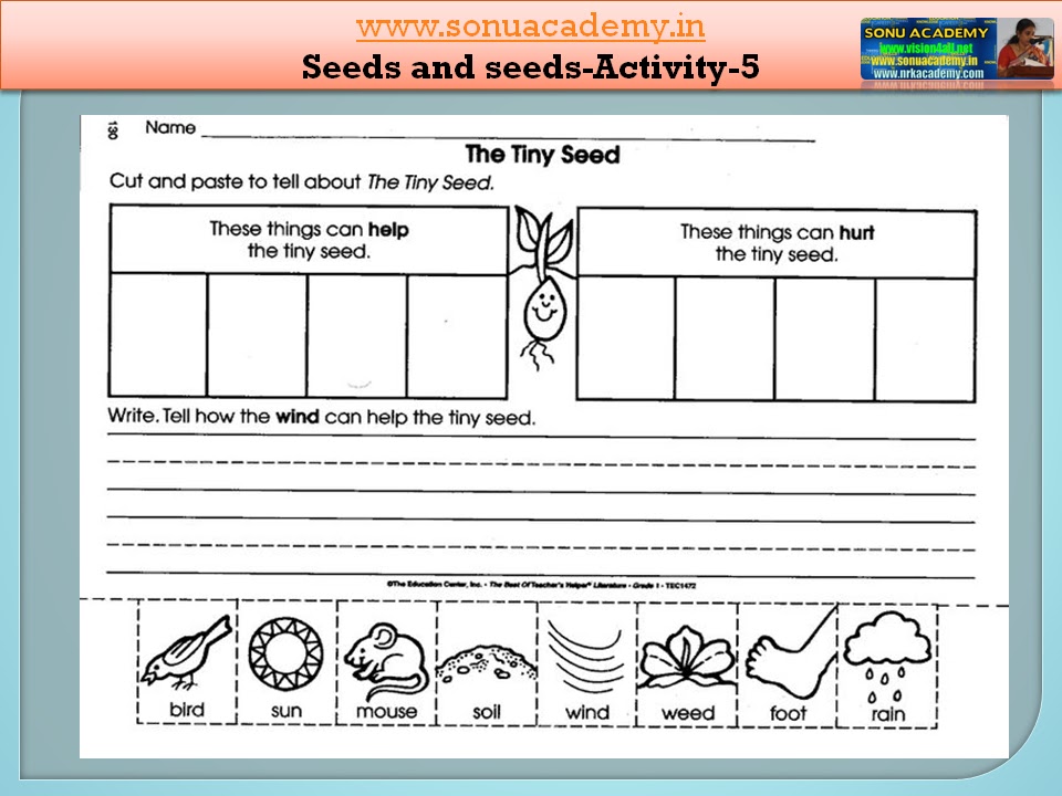 SONU ACADEMY: SEEDS AND SEEDS - ACTIVITIES